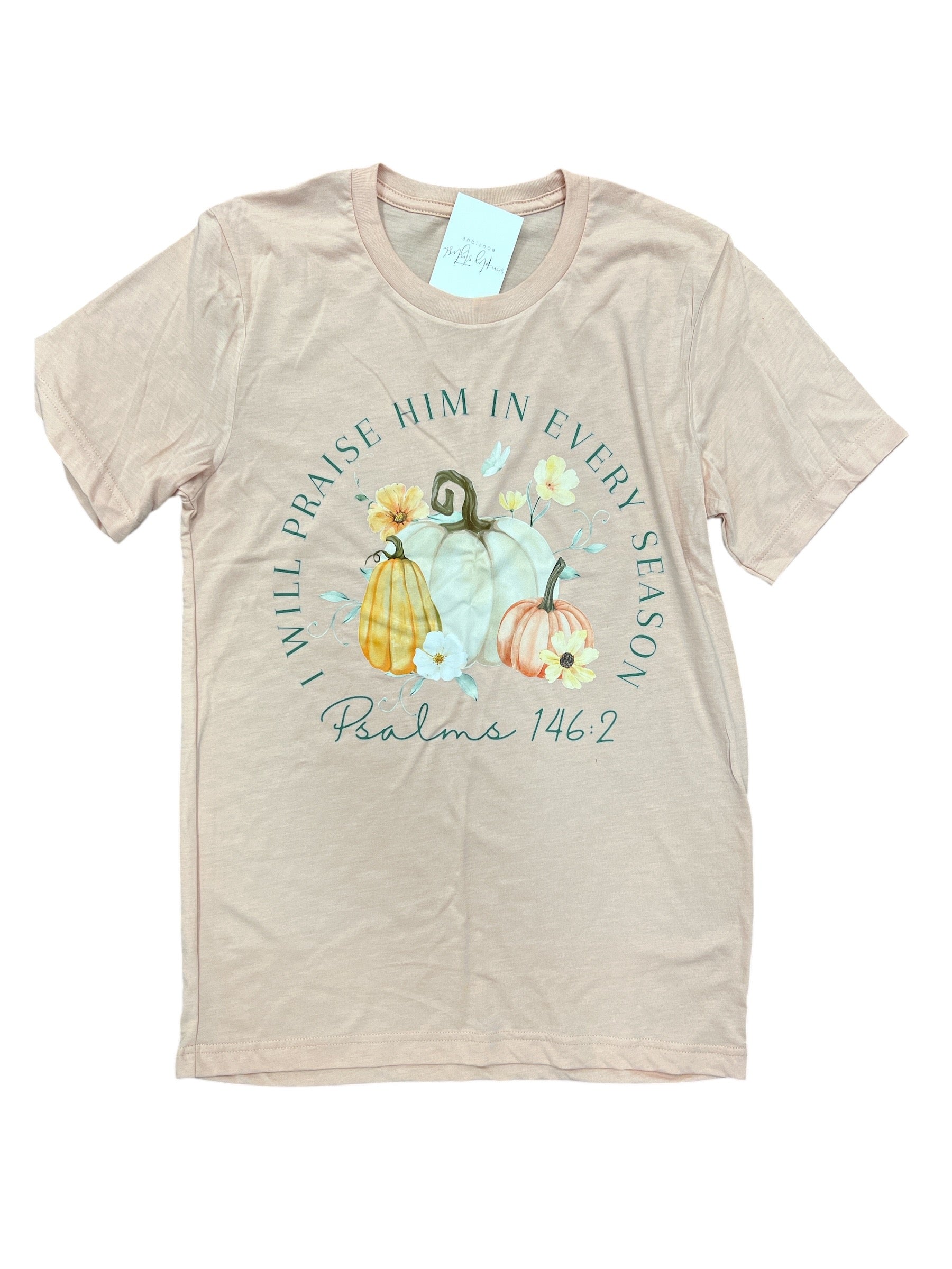 Psalms 146:2 / Pumpkin Shirt-540 Holiday/Seasonal-Simply Stylish Boutique-Simply Stylish Boutique | Women’s & Kid’s Fashion | Paducah, KY