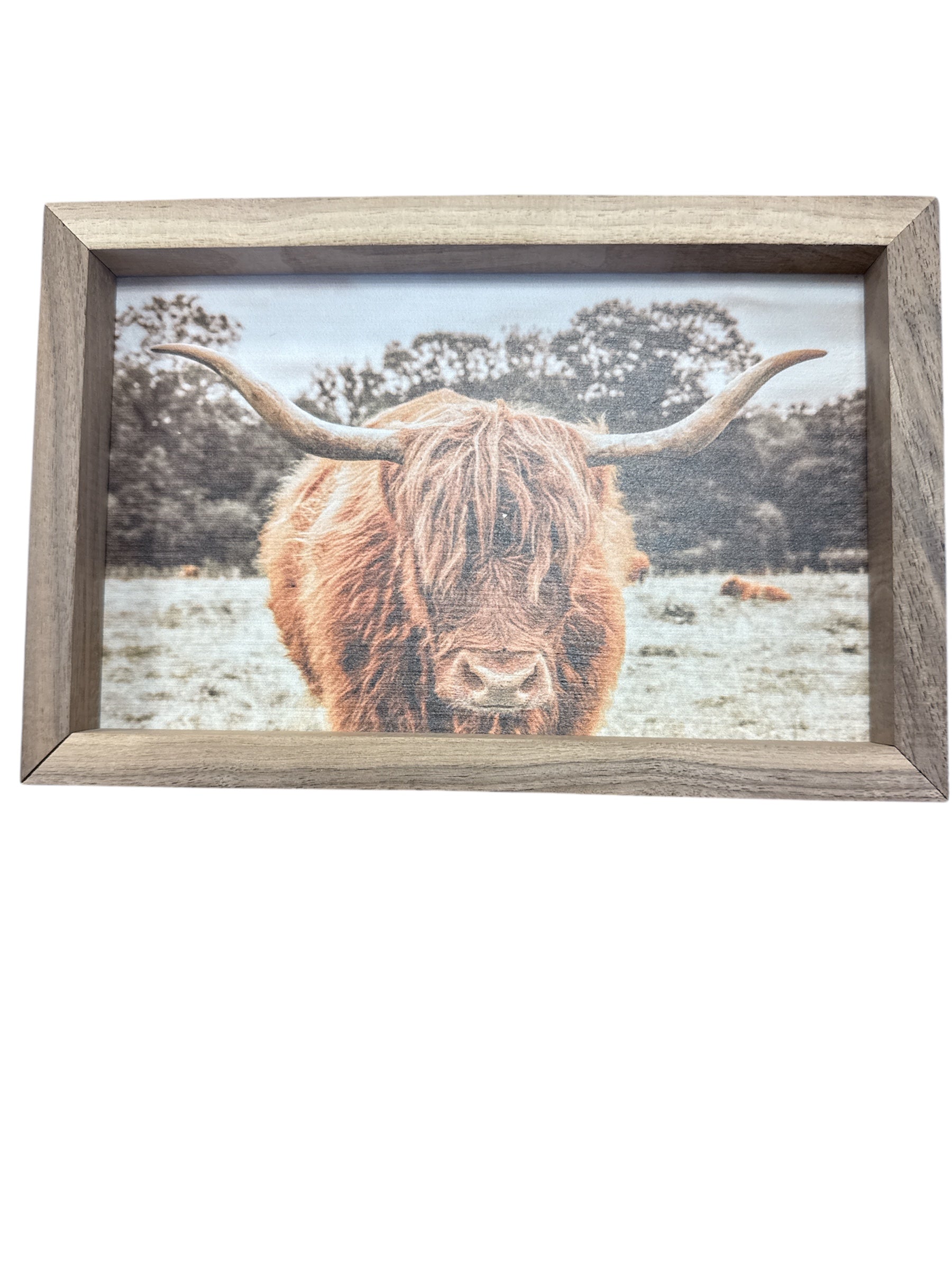 Highland In Pasture-510 General Gifts-Simply Stylish Boutique-Simply Stylish Boutique | Women’s & Kid’s Fashion | Paducah, KY