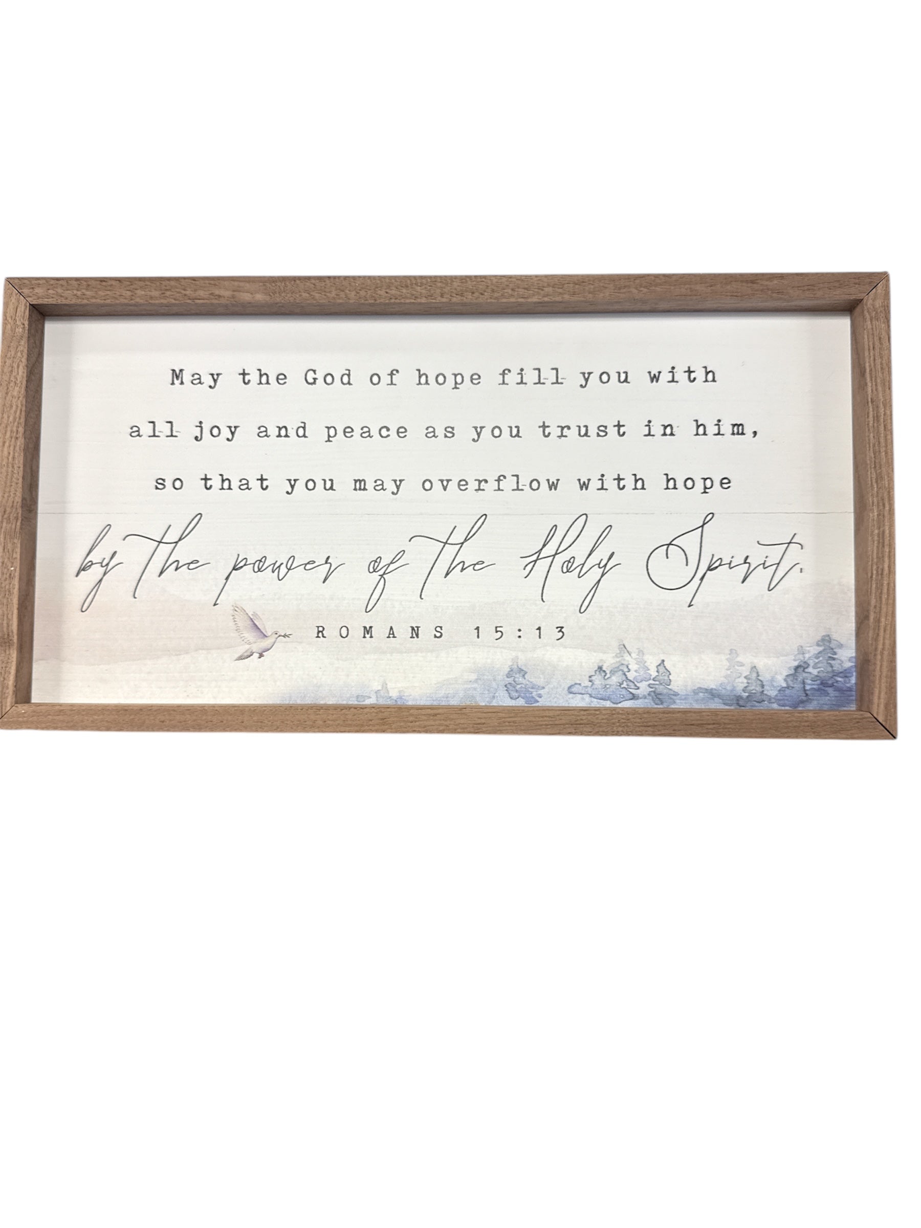 Romans 15.13 Dove-510 General Gifts-Simply Stylish Boutique-Simply Stylish Boutique | Women’s & Kid’s Fashion | Paducah, KY