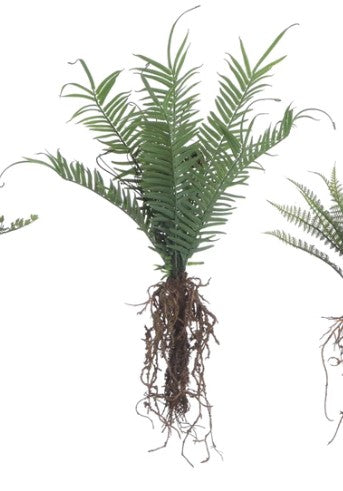 Faux Fern with Exposed Roots-510 General Gifts-Simply Stylish Boutique-Simply Stylish Boutique | Women’s & Kid’s Fashion | Paducah, KY