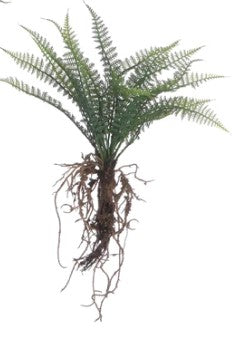 Faux Fern with Exposed Roots-510 General Gifts-Simply Stylish Boutique-Simply Stylish Boutique | Women’s & Kid’s Fashion | Paducah, KY