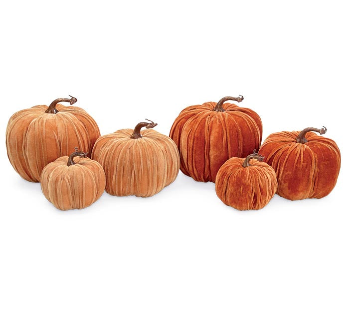 Assorted Velvet Pumpkins-540 Holiday/Seasonal-Burton & Burton-Simply Stylish Boutique | Women’s & Kid’s Fashion | Paducah, KY