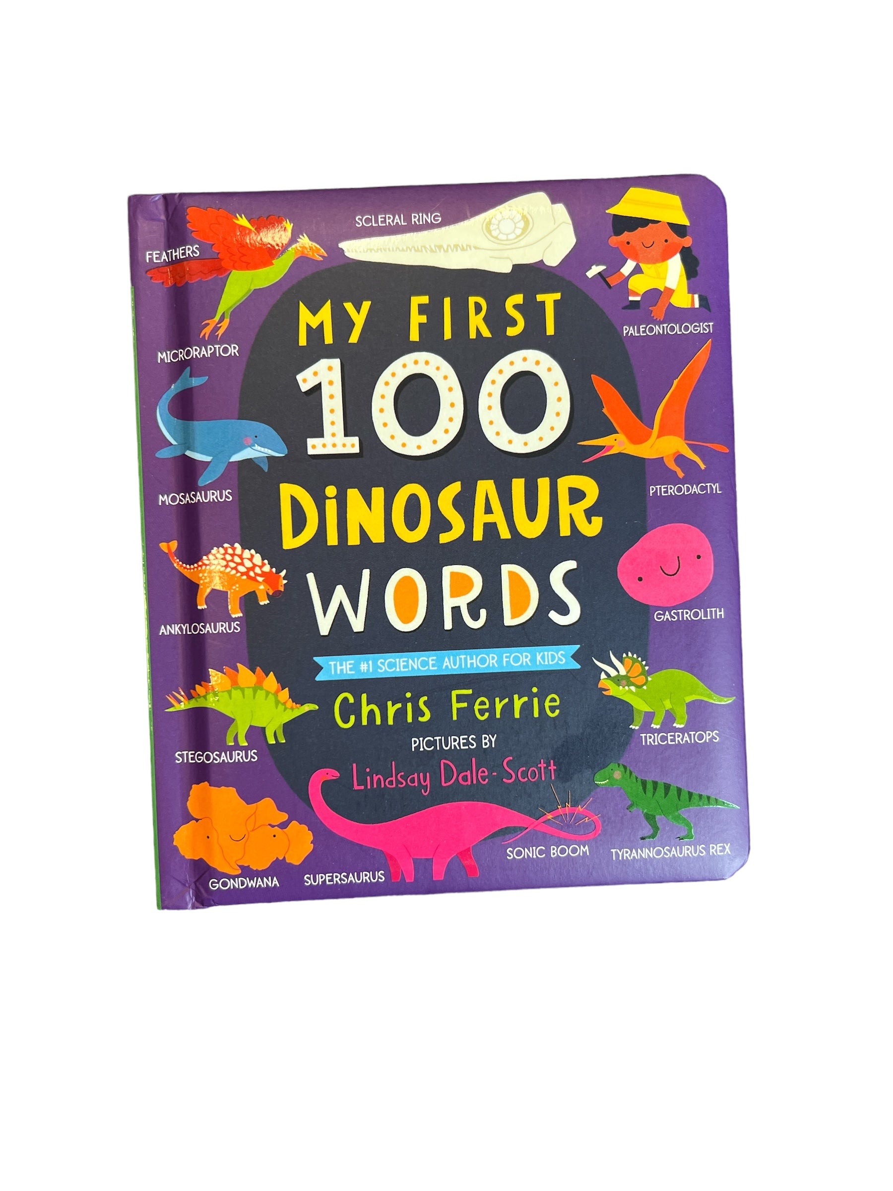 Dinosaur Words-Book-520 Baby & Kids Gifts-sourcebooks-Simply Stylish Boutique | Women’s & Kid’s Fashion | Paducah, KY