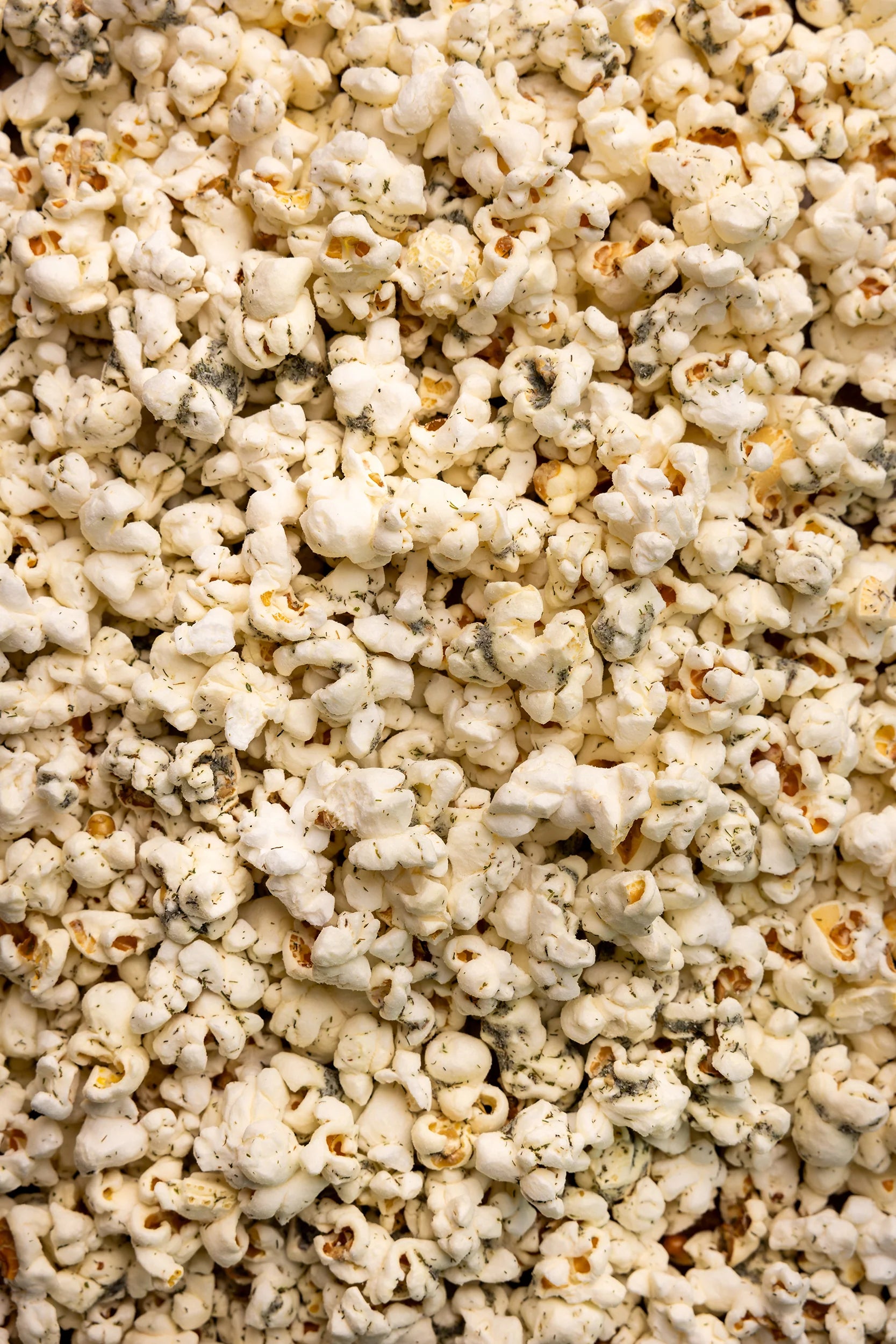 Dill Pickle Popcorn-510 General Gifts-Simply Stylish Boutique-Simply Stylish Boutique | Women’s & Kid’s Fashion | Paducah, KY