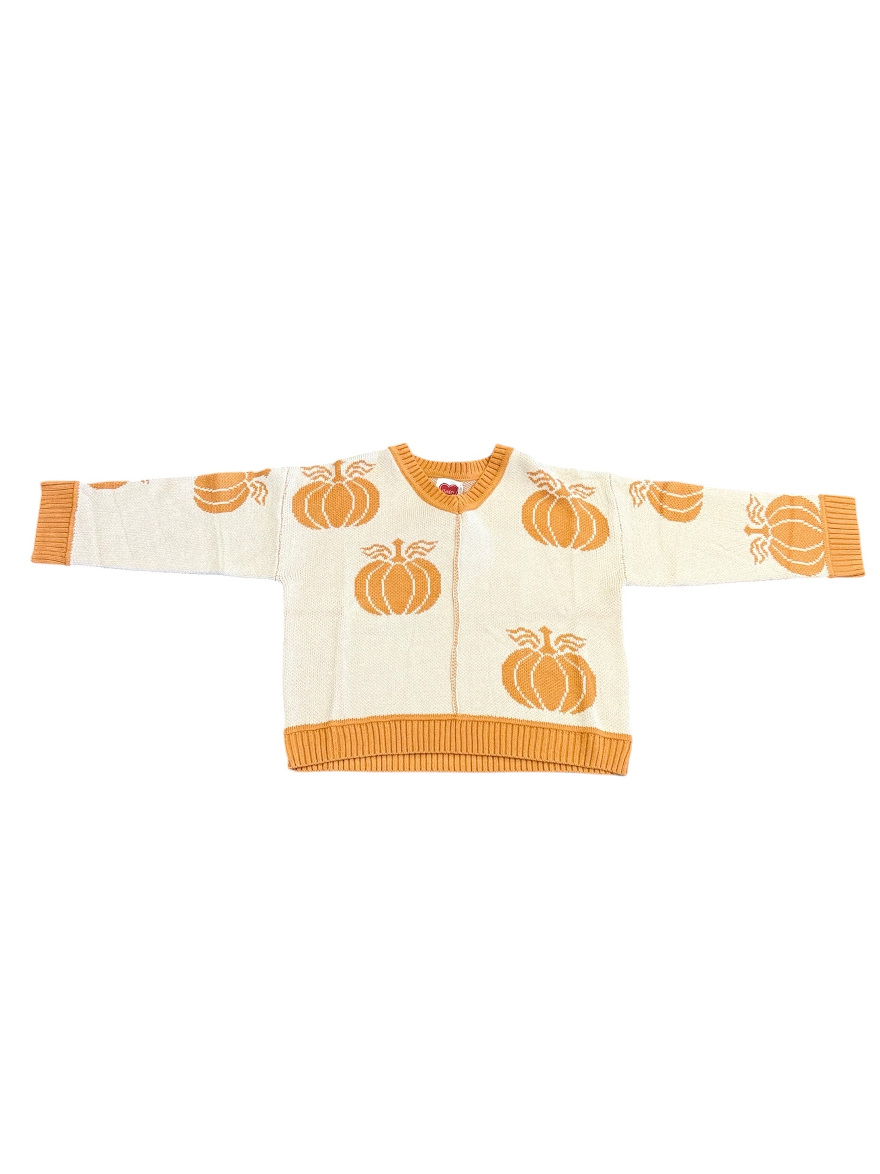 Rustic Pumpkin Pullover