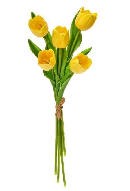 14" Spring Tulip Bundle-510 General Gifts-Simply Stylish Boutique-Simply Stylish Boutique | Women’s & Kid’s Fashion | Paducah, KY